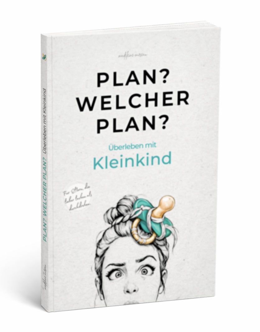 Plan? Welcher Plan? – Buchcover